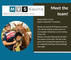 MVS Equine Hospital
