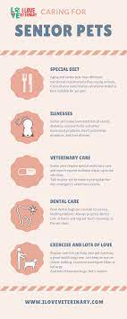 Caring For Senior Pets Animal Infographic Senior Pet Care Pets