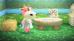 You can upgrade your house seven times in animal crossing: Animal Crossing New Horizons House Tour Norma Villager Youtube