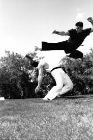 Flying Side Kick Karate Martial Arts Bruce Lee Training Bruce Lee