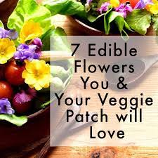 We did not find results for: 7 Edible Flowers You Your Veggie Patch Will Love The Healthy Patch