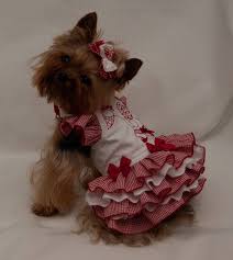 Red Gingham Sunbonnet Dress Etsy In 2020 Dog Clothes Patterns Dog Clothes Diy Yorkie Clothes