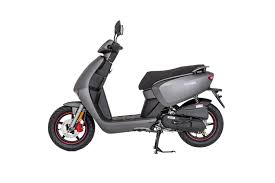 Kazara Liman Bolgesi Eszamanli 50cc Moped Fiyatlari Green Lipped Mussels Org