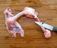 The only chicken i've ever cooked has been boneless and skinless, and they're pretty easy to make on the stovetop. Dissecting A Chicken Leg