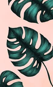 Monstera Leaf Lukisan Dinding Lukisan Cat Air Kertas Dinding