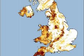 Lung tumors vca animal hospital / pet dander is composed of tiny, even microscopic, flecks of skin shed by cats, dogs,. This Map Will Tell You If Your Area Has A High Concentration Of Cancer Causing Radon Radiation Cambridgeshire Live