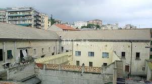 Image result for sappe 1981 2021