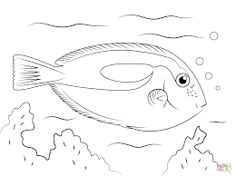 Tropical fish coloring pages are a fun way for kids of all ages to develop creativity, focus, motor skills and color recognition. Tropical Fish Coloring Pages Free Printable Pictures Fish Coloring Page Animal Coloring Pages Tropical Fish Art