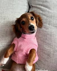 Robyn (@robyn.duty) • Instagram photos and videos