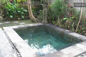 Fiberglass Rectangle Plunge Pool 2 Feet Above Ground With Stone Surround Google Search Plunge Pool Backyard Small Backyard Pools