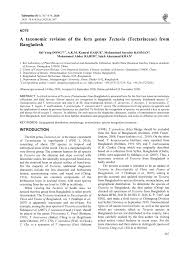 Image result for Tectaria fernandensis