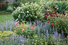 A pond, especially one that is constructed to support a diversity of animal life, such as frogs and dragonflies, is a great way of increasing the biodiversity of your garden. 10 Ways To Add Biodiversity To Your Garden