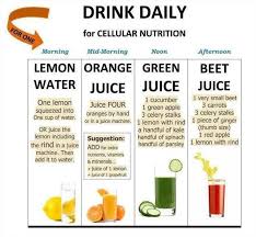 Daily Juice Chart Healthy Juices Cellular Nutrition Juicing For Health