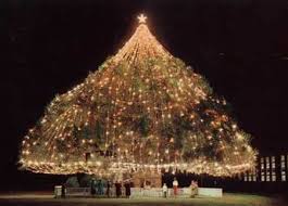 10 Most Amazing Christmas Trees From Around The Globe Amazing Trees Amazing Christmas Trees Large Christmas Tree Cool Christmas Trees