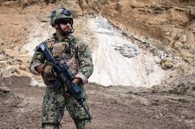 Navy seal , seal in full sea, air, and land , in the u.s. Bilder Navy Seals Gratis Vektoren Fotos Und Psds