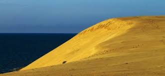 Дюна Эфа. Калининградская область. | Путешествия, Дюна, Поселки