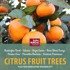Check spelling or type a new query. Fruit Trees Are The Gift That Keeps Louisiana Farm Bureau Federation Facebook