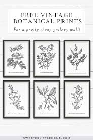 Black And White Botanical Prints Free Free Vintage Botanical Prints Wall Art Free Printable Wall Art Botanical Wall Art Vintage Botanical Prints