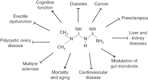 Most important, metformin nedir twice as many will become asymptomatic carriers. Metformin Induced Anticancer Activities Recent Insights