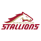 Birmingham Stallions vs Orlando Storm