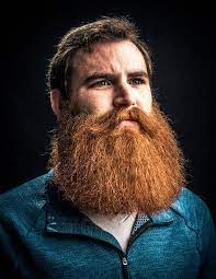 Beardrevered On Tumblr Beard No Mustache Beard Life Great Beards