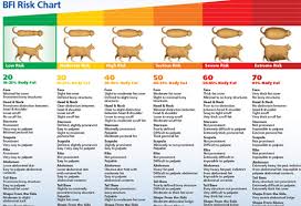 cat weight chart gallery of chart 2019