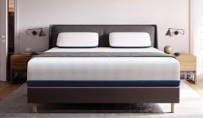 Check spelling or type a new query. Split King Adjustable Beds And Mattresses Amerisleep