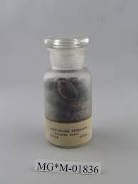 Image result for Physostigma