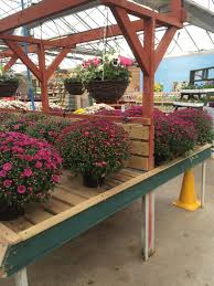 Scotsdales Cambridge Garden Centre Layout Landscape Lifestyle Customer Journey Visual Merchandising Www Clearretailgroup Eu