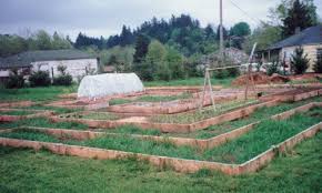 Check spelling or type a new query. How To Build A Kitchen Garden From Scratch Finegardening