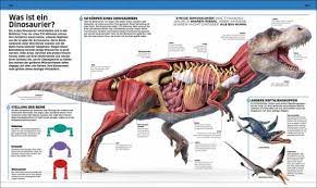 Kommen dir diese fragen bekannt vor? Bild Der Wissenschaft Shop Wissen Dinosaurier Erlesenes Wissen Scheibchenweise Auf Dvds Horbucher Und Cd Roms