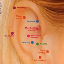 Acupressure Points On Your Ear Via Womans World Magazine