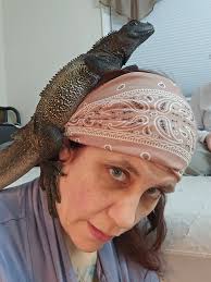 Some more mini salvator types being made we hope! Obi x celeb