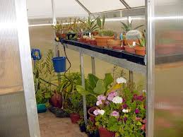 Comment bien prendre soin de ses poules en hiver ? Hiverner Les Plantes