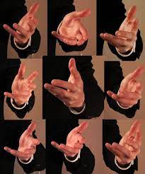 Image Result For Hands Reference Hand Reference Hand Drawing Reference Anatomy Reference