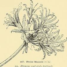 Image result for "declined" -site:wikipedia.org -site:wikimedia.org