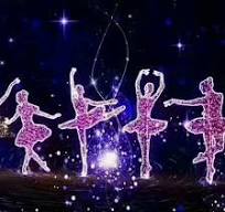 [Hot Item] Basic Customization Outdoor Waterproof 2D LED Rope Light  Christmas Ballet Motif Light