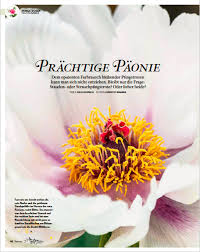 Urenlang comfortabel zitten aan de bar door de voetensteun; Pfingstrosen Im Servus Magazin Des April 2017 Zu Lesen Im Therapiegarten Zu Sehen In Der Vhs Zu Kaufen Das Igor Archiv