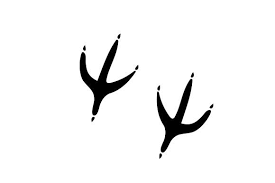 Svg cut files are a graphic type that can be scaled to use with the silhouette cameo or cricut. Chicken Footprint Svg Cut File By Creative Fabrica Crafts Creative Fabrica