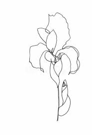 Maybe you would like to learn more about one of these? Super Flowers Drawing Iris Ideas Flower Prints Art Abstract Flower Art Flower Drawing