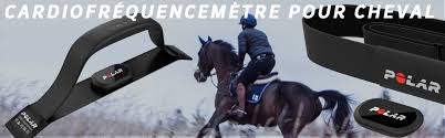 Equitation Cardio Et Gps Equin Accessoires Techniques Du Cavalier Equipement D Endurance Sellerie En Ligne Equitation Atelier Du Cheval