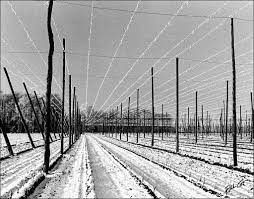 I learned the elements of art while studying fine arts at young harris college. Photographic Elements Lines Lines Lines Sunbounce Pro