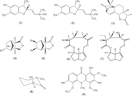 Image result for Crotalaria paulina
