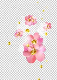 Pink Desktop Flower Color Png Clipart Blossom Chart
