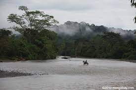 Picture Of The Day Horse And Rider In The Amazon