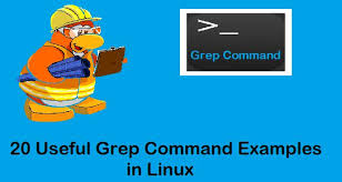A pattern can be a word, text, numbers and more. 20 Useful Grep Command Examples In Linux