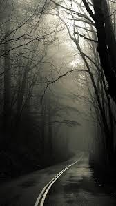 Background Black And White Road Images Free Download The Dark Road Forest Wallpaper Beaty Your Iphone Dark Tree Road Forest Fog Wallpap Black And White Pictures White Photography Slenderman