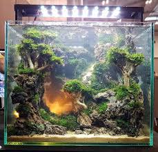 Wassermann3web Wassermann3web Twitter Twitter Wassermann3web In 2020 Aquascape Design Aquascape Aquascape Aquarium
