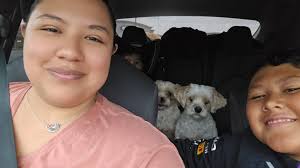 What are Maltese dogs' silliest habits that make their owners laugh?