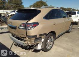 Image result for Golden Almond 2010 RX